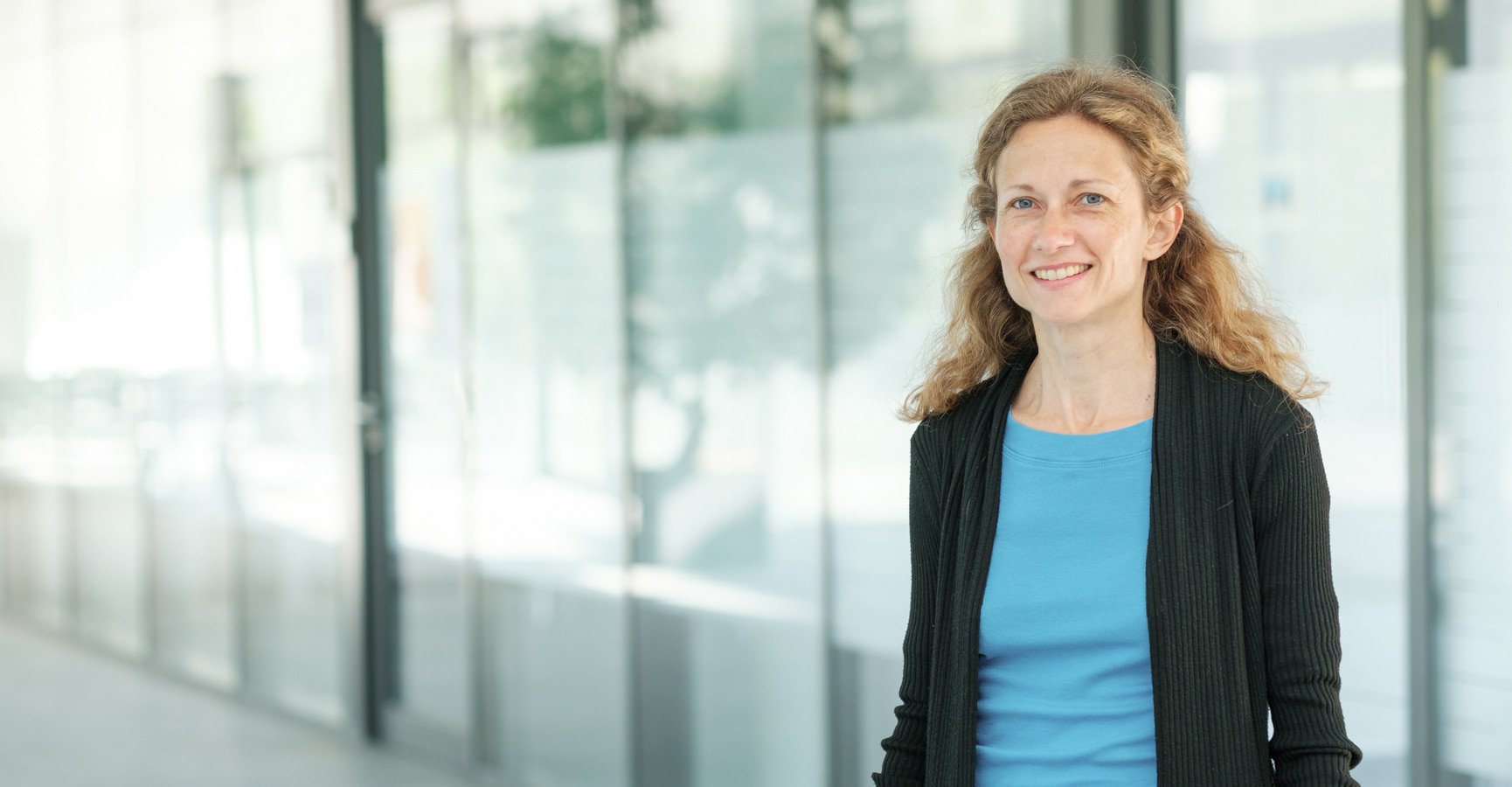 Decorative banner image