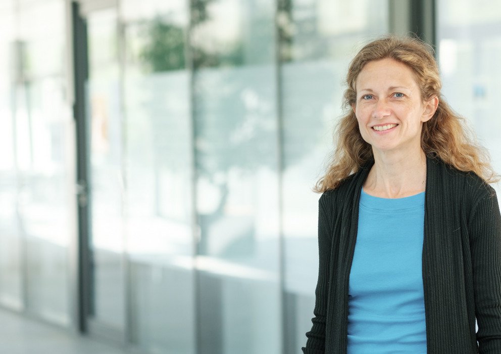 Dekoratives Bannerbild