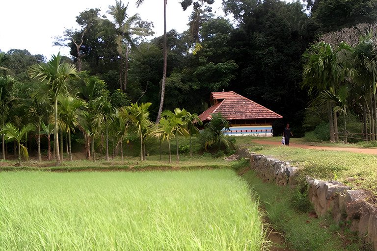 BioDIVA - Nachhaltige Landwirtschaft und Biodiversitt in Sd-Indien