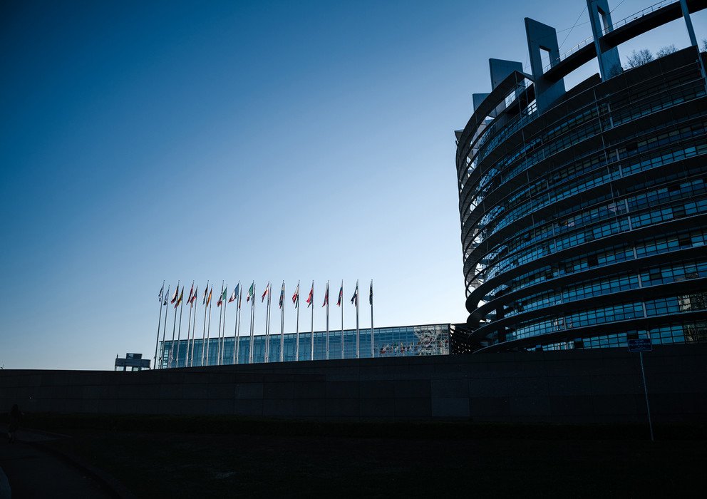 Dekoratives Bannerbild