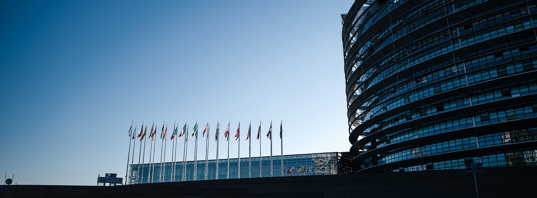 Dekoratives Bannerbild