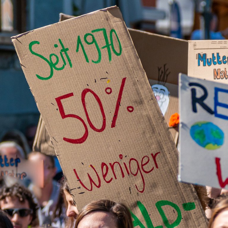 Demonstrators at a Fridays for Future demonstration hold up colorful climate change signs.