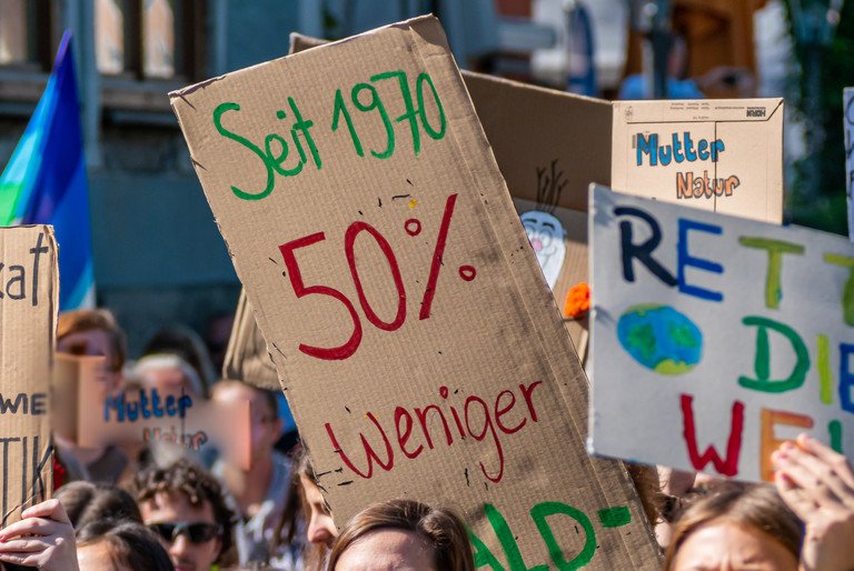 Demonstrators at a Fridays for Future demonstration hold up colorful climate change signs.