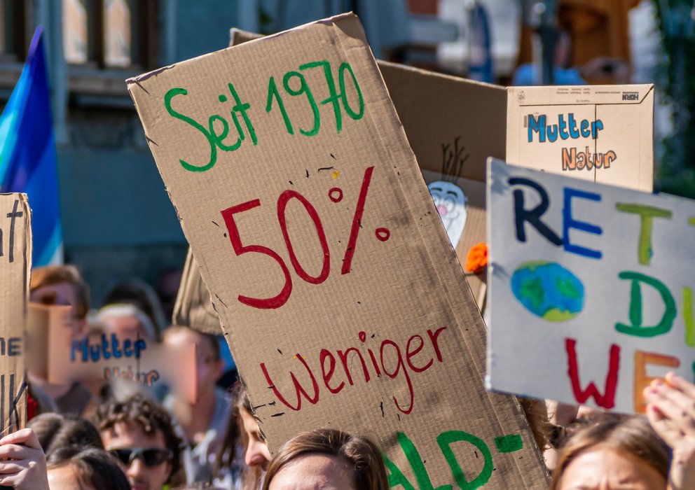 Dekoratives Bannerbild