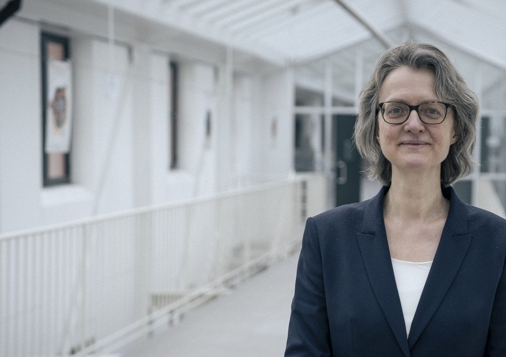 Decorative banner image