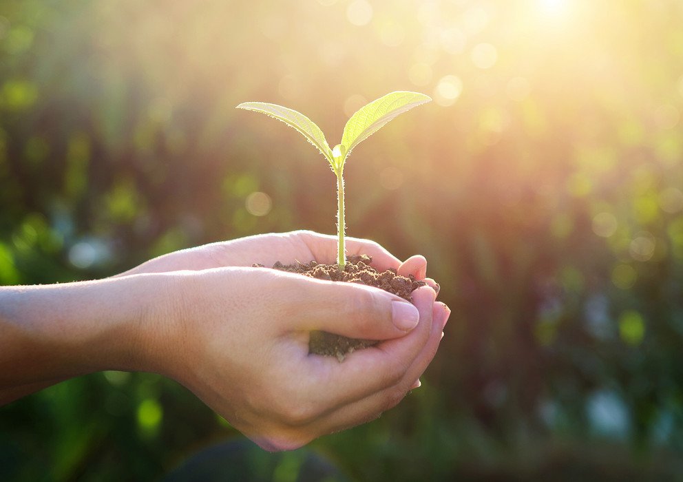 Dekoratives Bannerbild