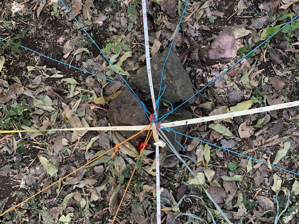 Absteckung unseres Plots mit Ma&szlig;b&auml;ndern und Seilen.