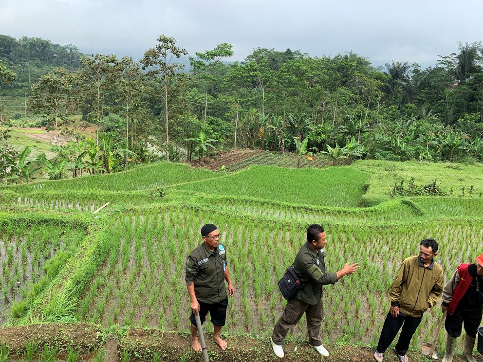 Trainer erkl&auml;ren die Bodenprobenentnahme f&uuml;r den Bodentest in einem Training in Tasikmalaya. 