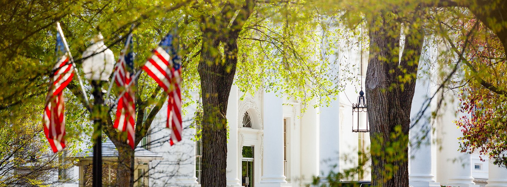 Decorative banner image