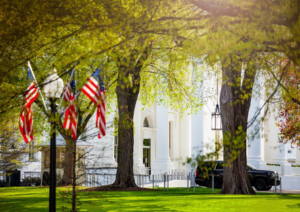 Decorative banner image