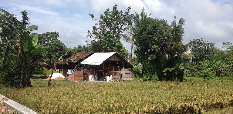 Farmhaus in Indonesien vor Feld.