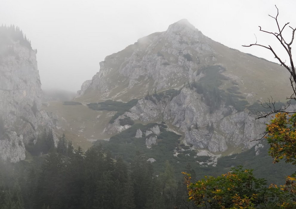 Dekoratives Bannerbild