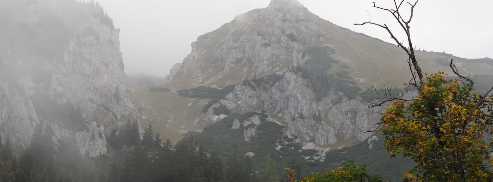 Dekoratives Bannerbild