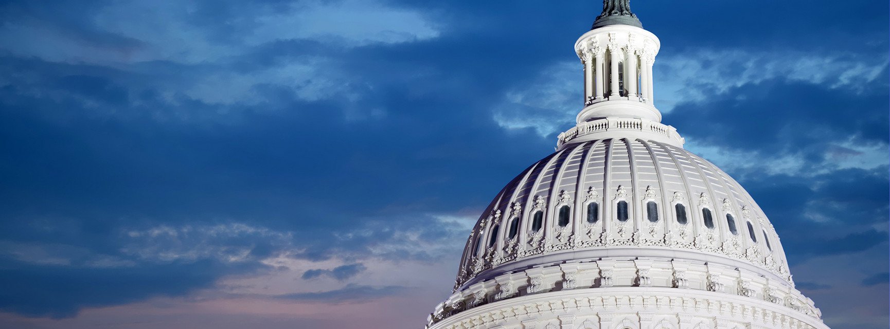 Dekoratives Bannerbild