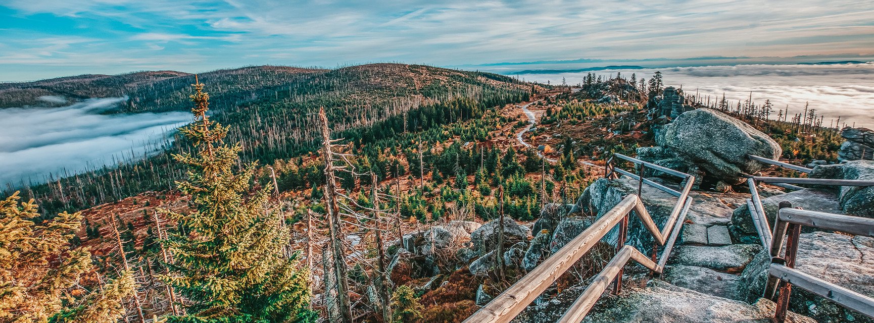 Decorative banner image