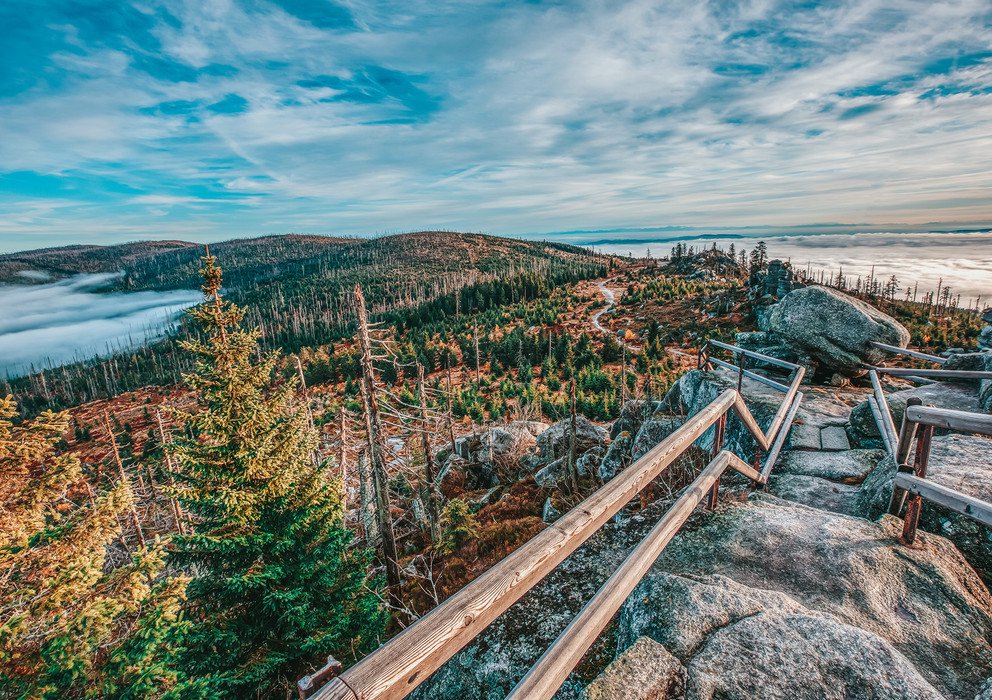 Decorative banner image