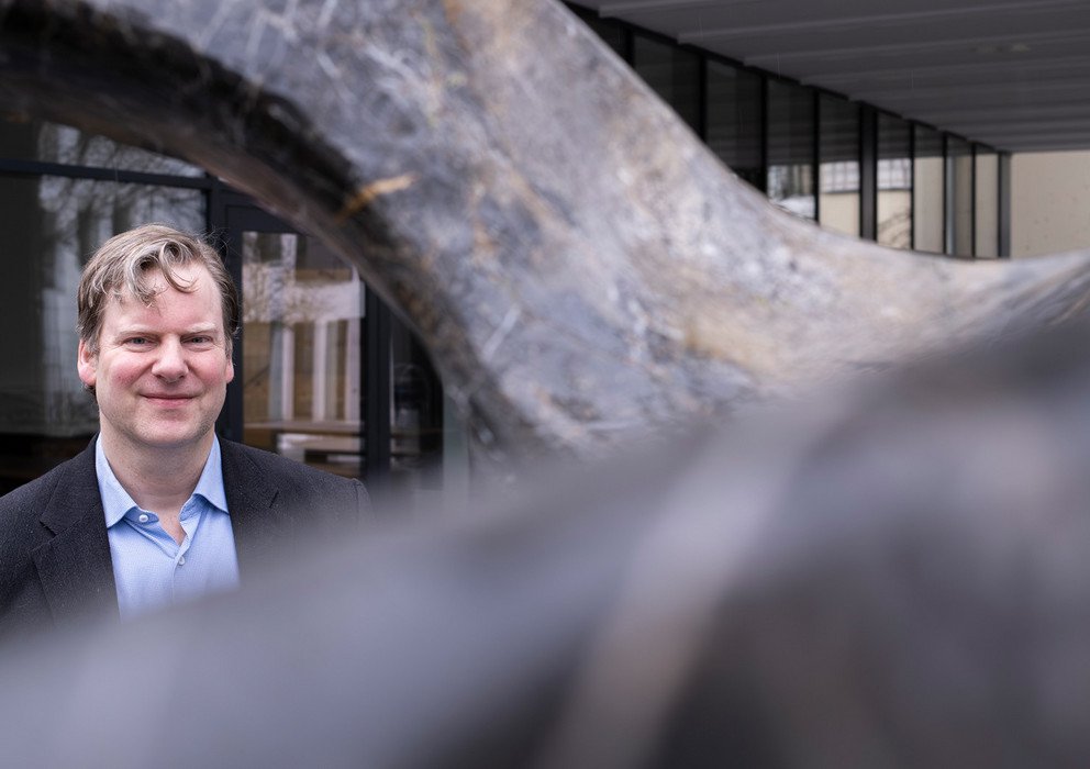 Dekoratives Bannerbild
