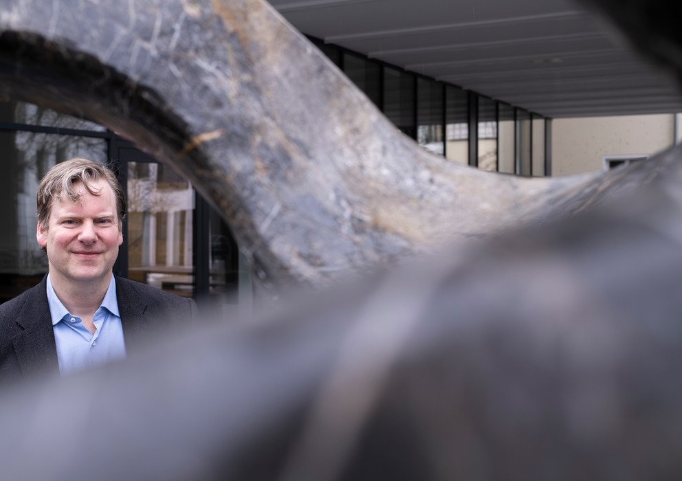 Decorative banner image