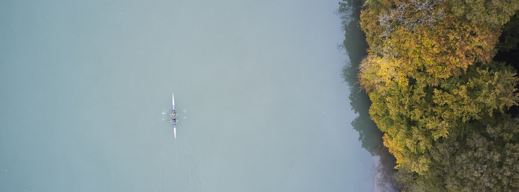 Dekoratives Bannerbild