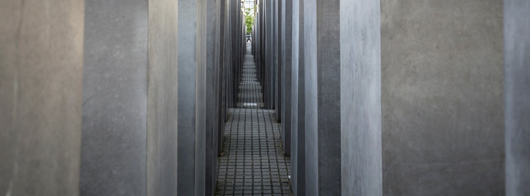 Decorative banner image