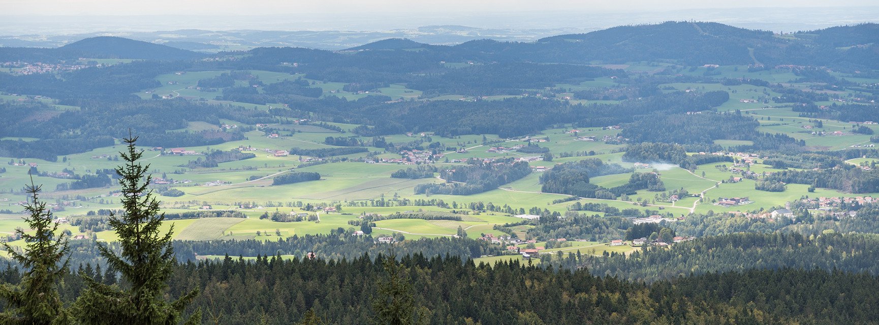 Decorative banner image