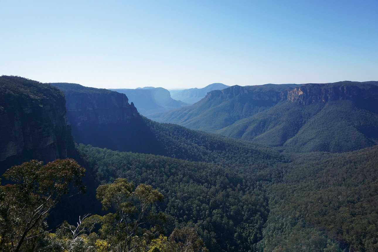 Canyons of the Blue Mountains in the National Park in New South Wales, Australia. Photo: Colourbox 