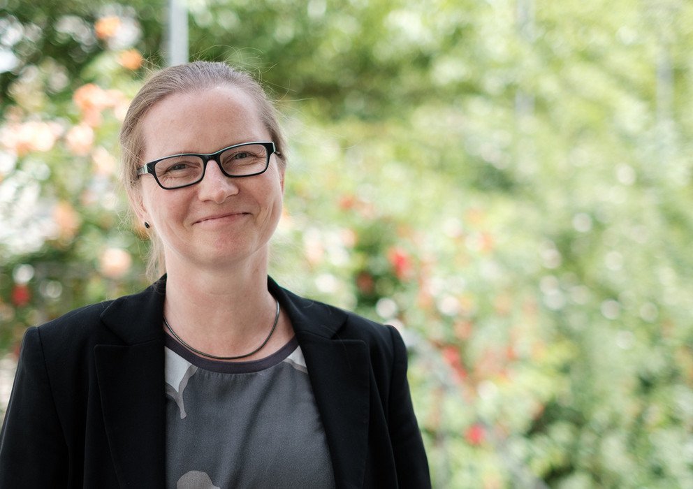 Decorative banner image