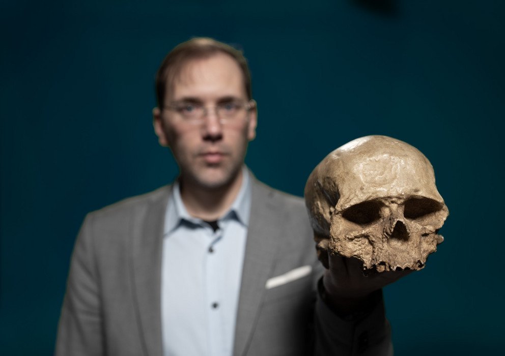 Dekoratives Bannerbild