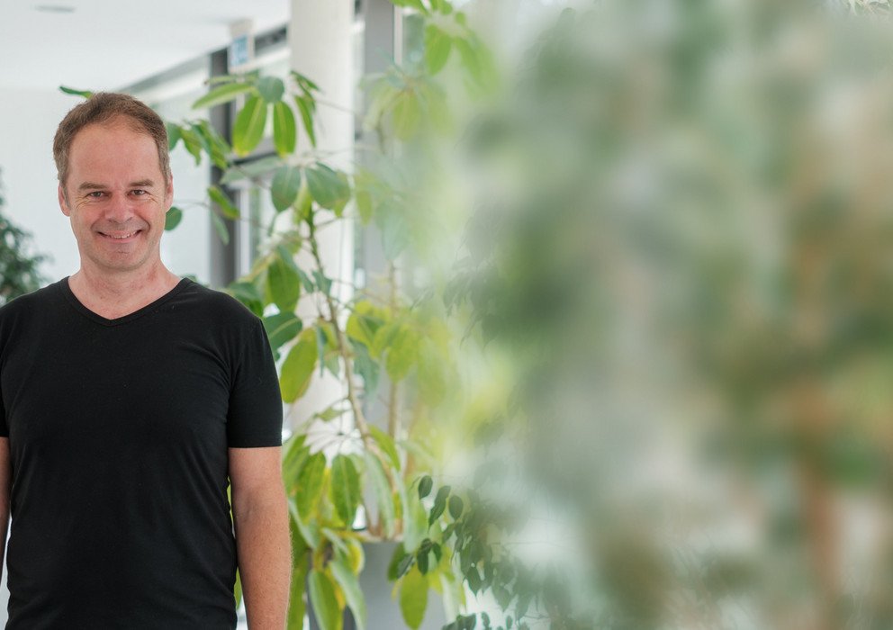 Dekoratives Bannerbild