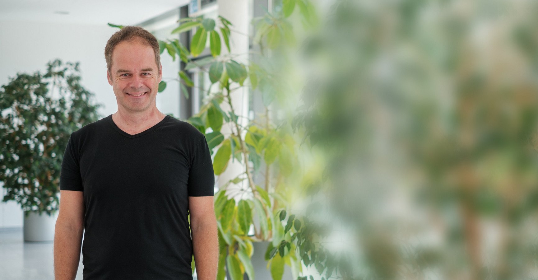 Decorative banner image