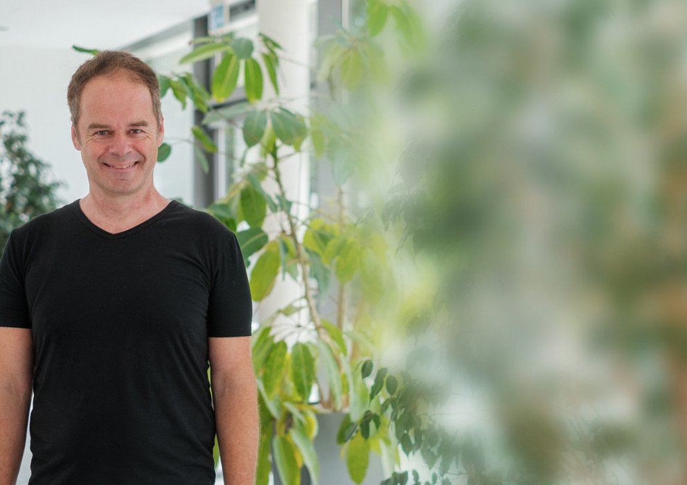 Decorative banner image