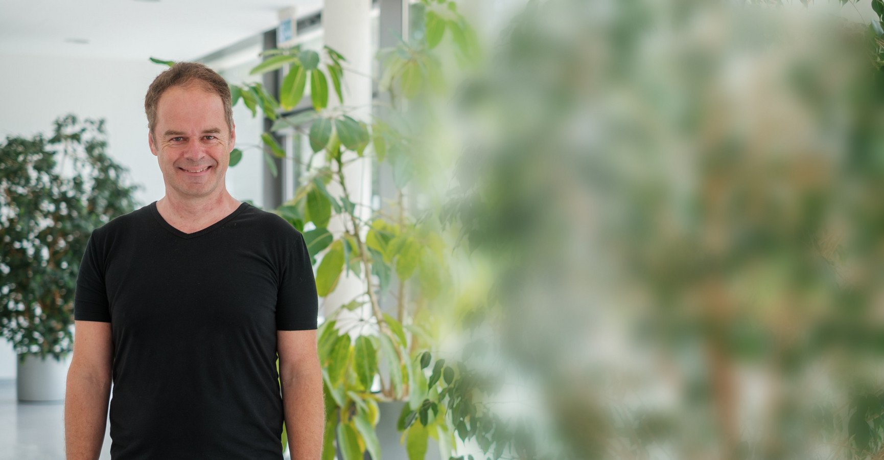 Dekoratives Bannerbild