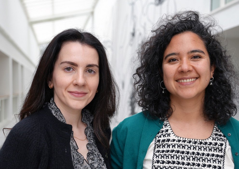 Decorative banner image