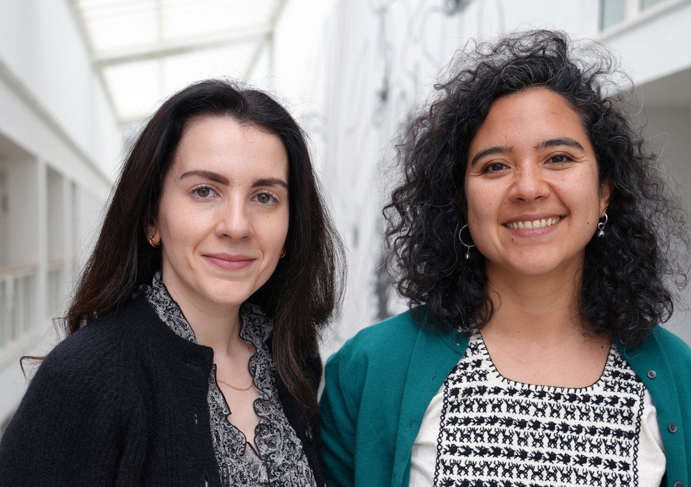 Dekoratives Bannerbild