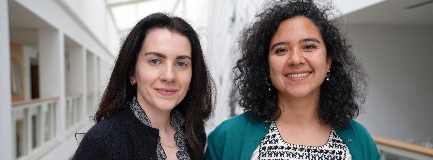 Decorative banner image