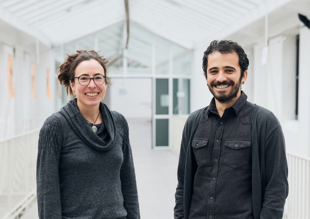 Decorative banner image