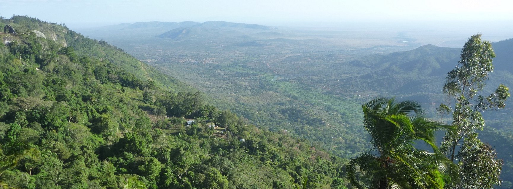 Decorative banner image