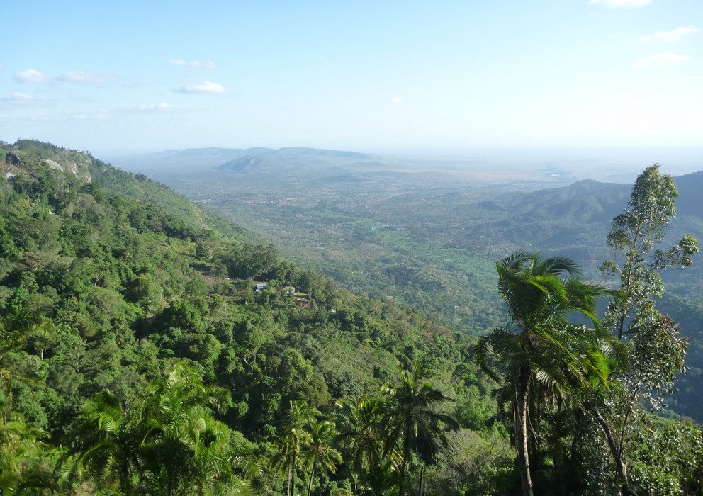 Decorative banner image