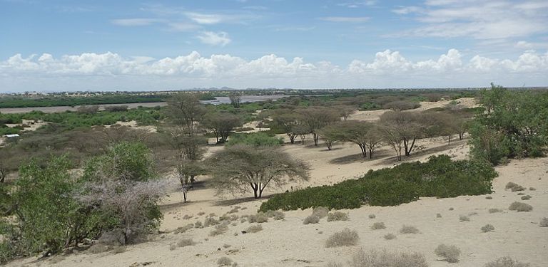 Trockene, semi-aride Region im Norden Kenias mit sporadischen Bäumen.
