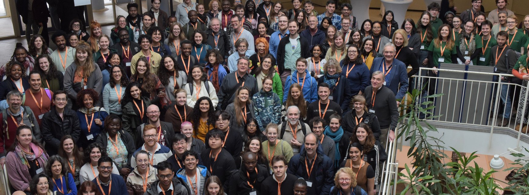 Decorative banner image