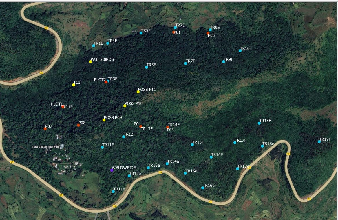 Urspr&uuml;ngliche Plot Verteilung.