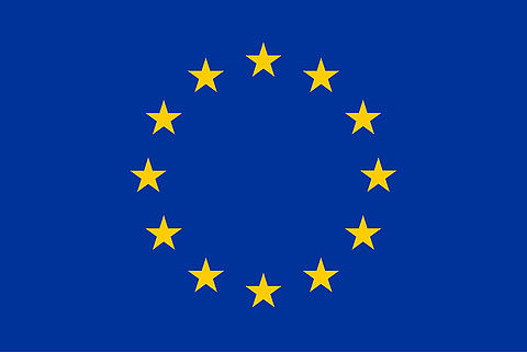 Europäische Union (EU) > EU - 8. Forschungsrahmenprogramm (Horizon 2020) > EU - Horizon 2020 - European Research Council (ERC) > EU - Horizon 2020 - ERC - Consolidator Grant