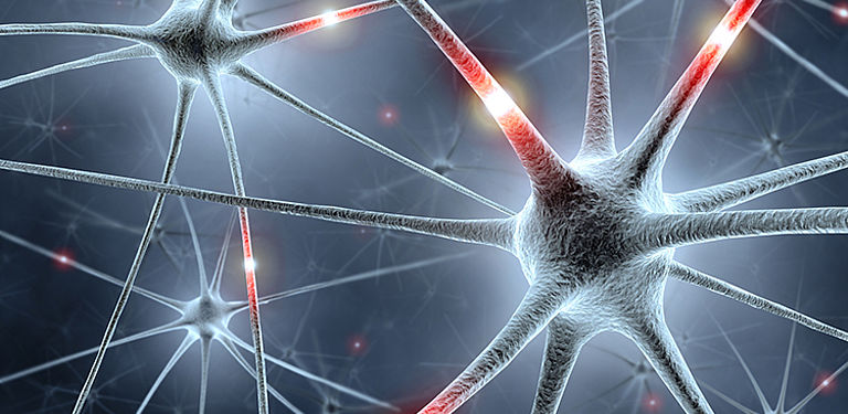 ForInter: Bavarian research network 'Interaction of Brain Cells'