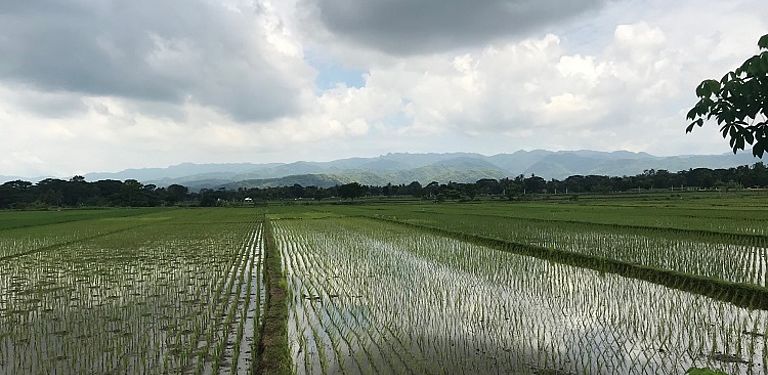 DBU-Pilotstudie in Indonesien: Nachhaltige Landwirtschaft kombiniert mit digitalen Bodentests