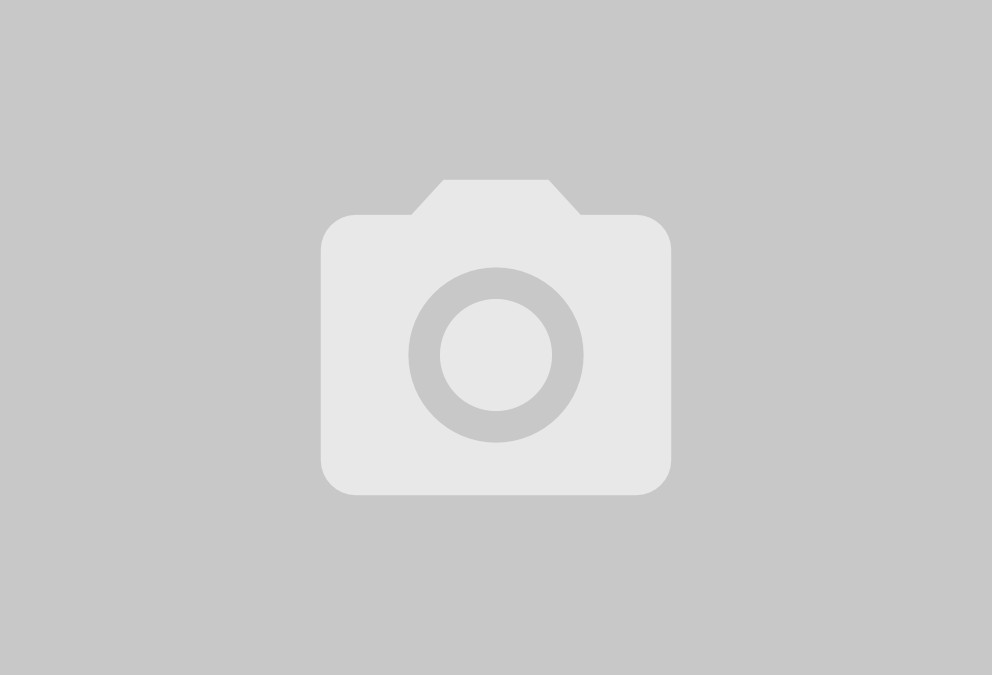 Dekoratives Bannerbild