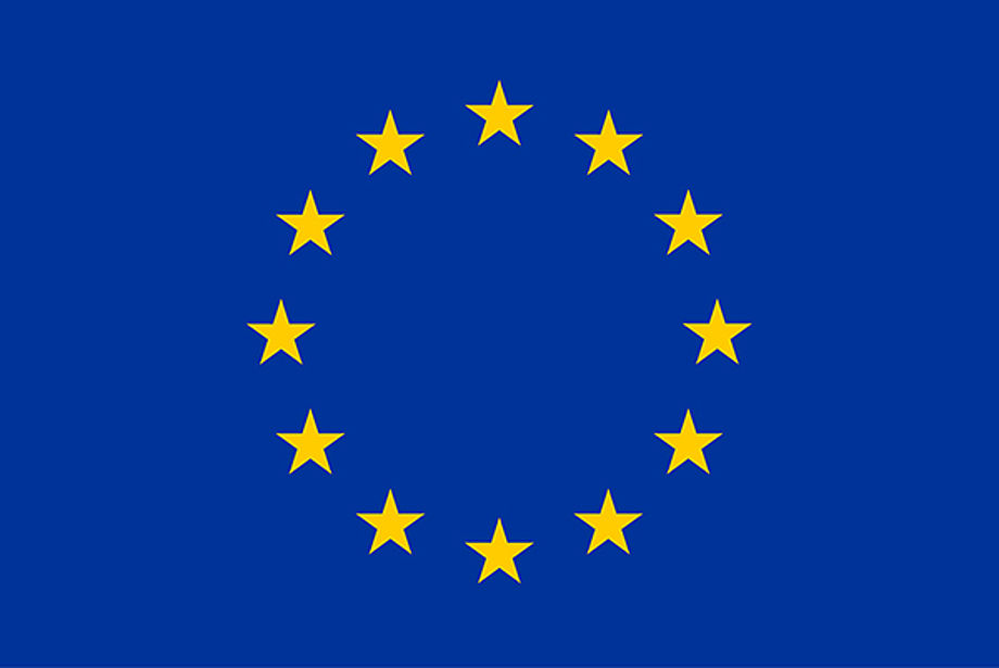 EUCON – Jean-Monnet-Netzwerk zur Erforschung der Beziehungen zwischen der EU und der Eurasischen Wirtschaftsunion