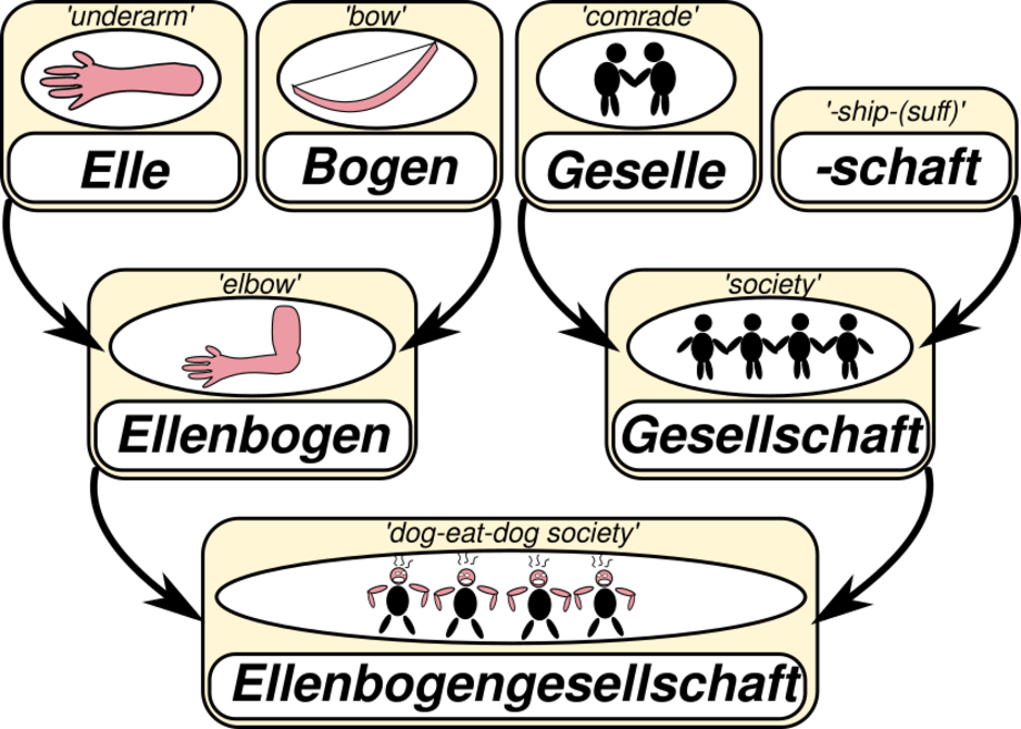 ERC research group "ProduSemy": Using algorithms to track the evolution of word families