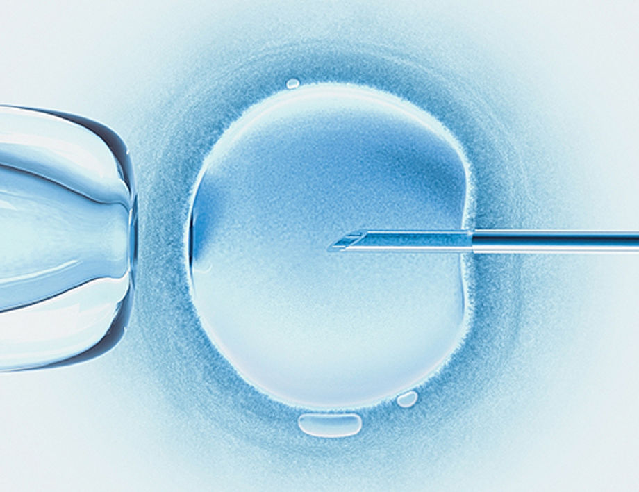 HumArGam: Legal aspects of the generation, genetic modification and use of pluripotent stem cell-derived human gametes