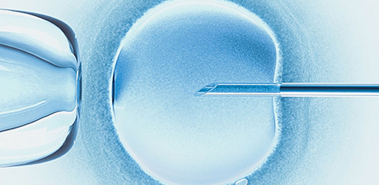 HumArGam: Ei- und Samenzellen aus der Retorte