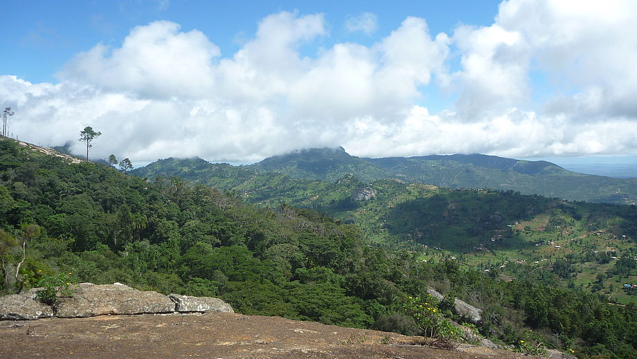 BioCult project: Passau researcher studying biodiversity and biomass in the forests of Kenya and Ethiopia